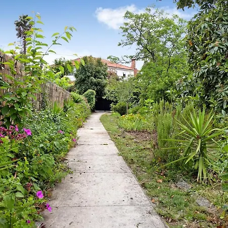 Casa Kiko Tatil Evi Anha